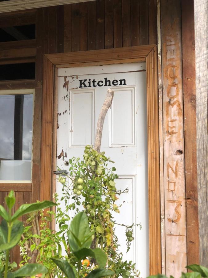No 3 @ Bed In A Shed B&Bs Watervale Exterior photo